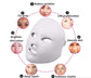 Led Facial beauty instrument for Skin